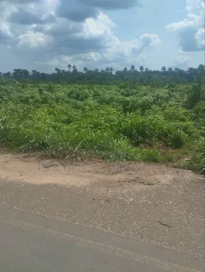 15 Plots Of Lands Close To Zion Ground
