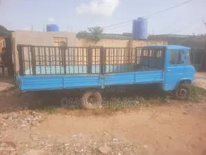 Big Truck 17ft