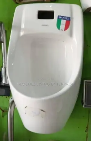 Daniel Wall-Mounted Ceramic Urinal With Flush Option