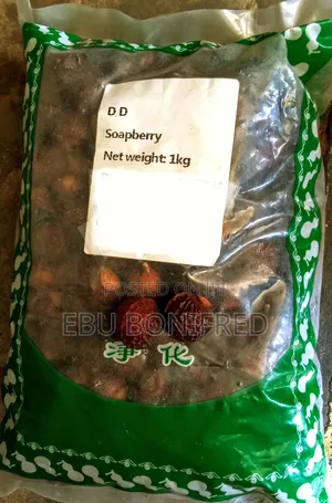 1 Kg of Soap Berries ( Soap Nuts)