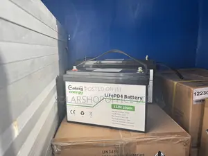 Lifepo4 Battery