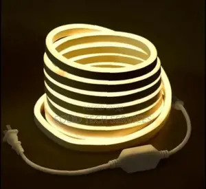 Warmwhite Neon Rope Light Per Meter