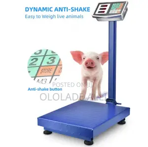 200kg Industrial Electronic Platform Weight Scale