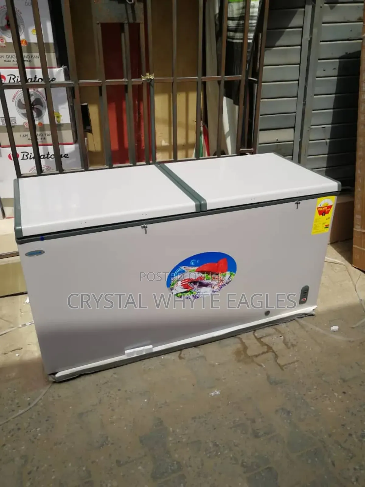 600l Chest Deep Freezer
