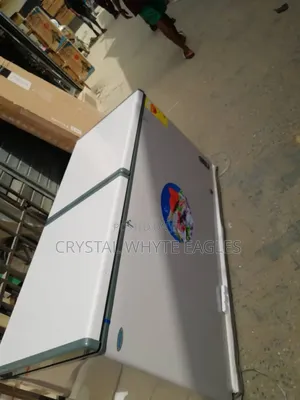 600l Chest Deep Freezer