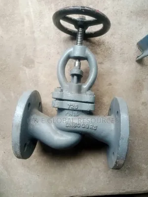 2" Globe Valve End Flanged (Dn50/Pn16)