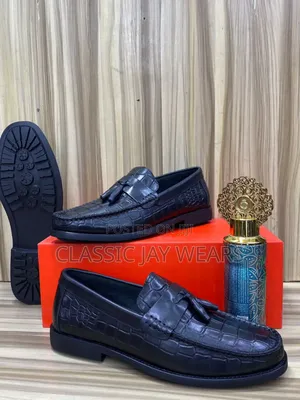 12 Different Species Loafers Collections