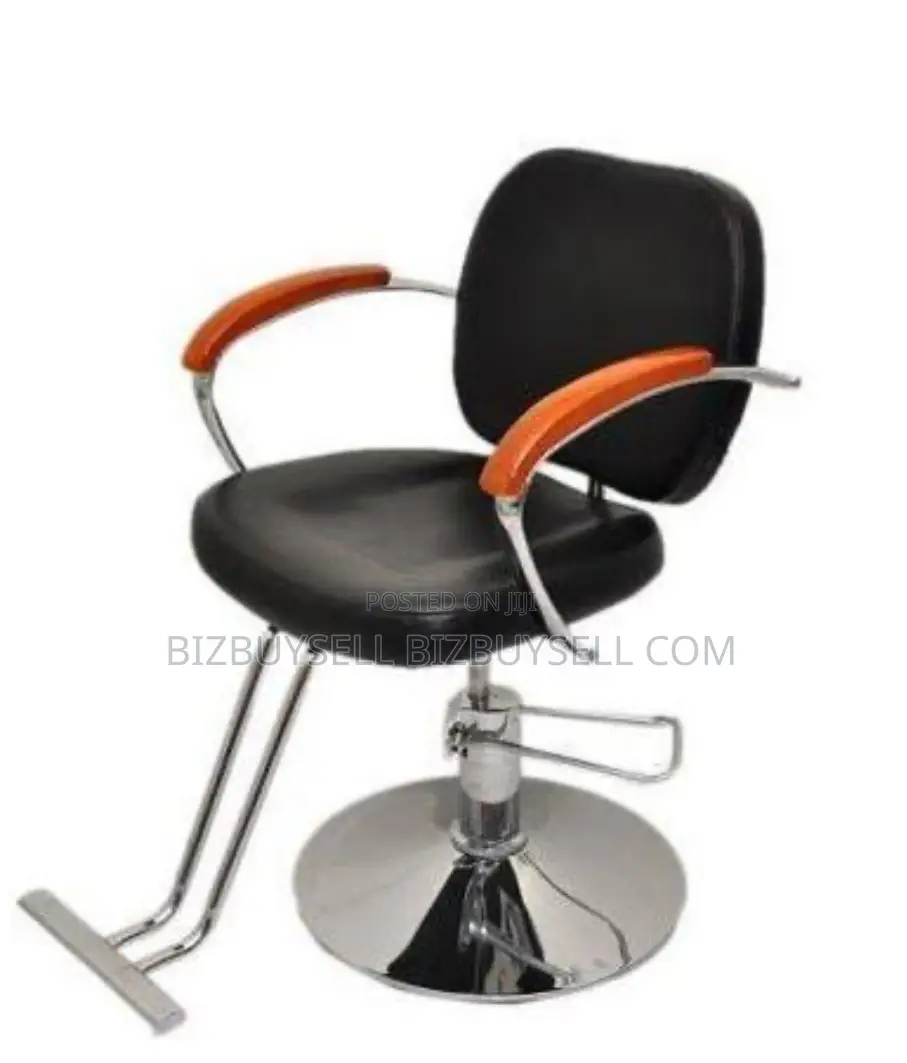 Salon Chair