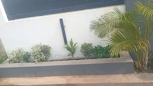 Best Affordable Horticulturist for Your Landscape Project