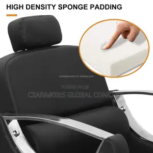 Luzury Salon Chairs