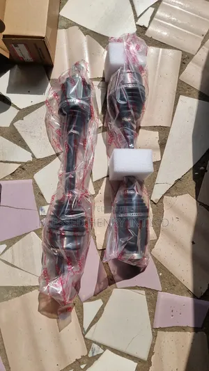 Shock Absorber And Shaft
