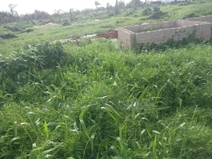 A Plot of Land Egbeda Akowonjo Near Bustop 4 Sale