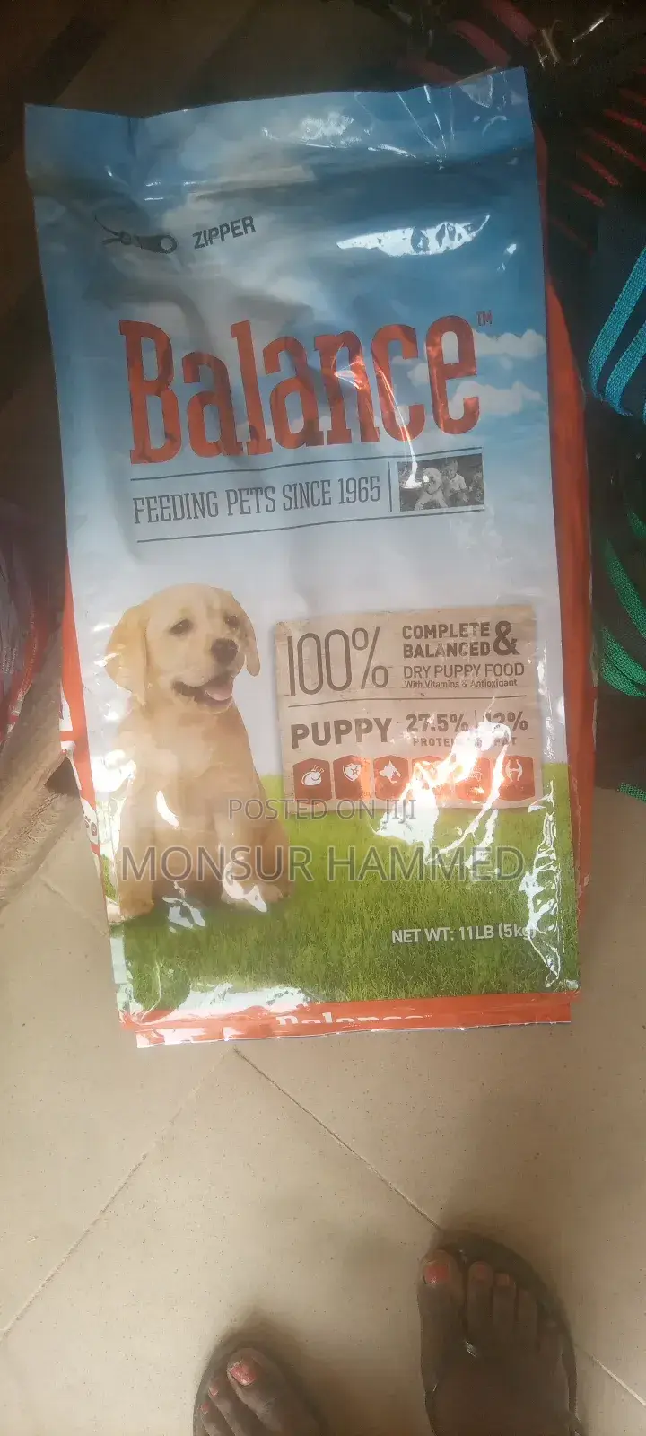 Dog Food and Plate