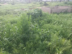 40ft by 60ft Plot Moshalashi Rd Egan Fenced Iguando