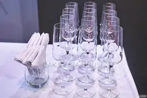 Professional Mobile Videography for Your Event