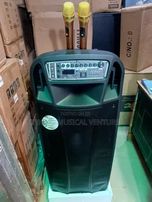 Double Bass Pa System 15inches With 2 Wireless Microphone