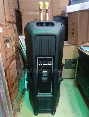 Double Bass Pa System 15inches With 2 Wireless Microphone