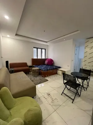 Furnished Studio Apartment in Ikate Lekki for rent