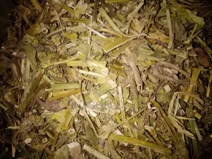 Mullein Leaf 100g
