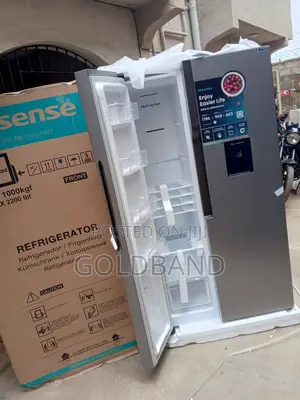 Hisense Rc-67ws Side by Side Refrigerator With Shelf Tray