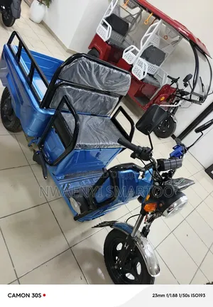 Electric Mini Cargo Tri Cycle