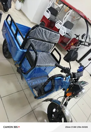 Electric Mini Cargo Tri Cycle