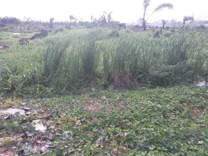 5100sqm Waterfront Queens Drive Ikoyi