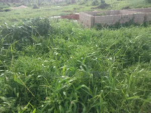 5414sqm Clover Road Ikoyi With 15 Storey Tower Foundations