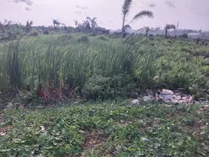 4 200sqm Old Ikoyi Backing Ikoyi Golf Curse Off Kingsway