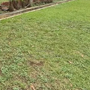 Land Selling at a Good Area and at Good Rate