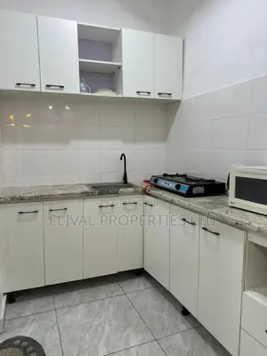 Large Studio Apartment
