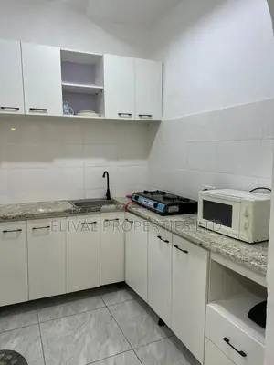 Large Studio Apartment