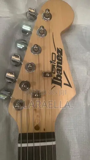 Fender Stratocaster Electric Guitar