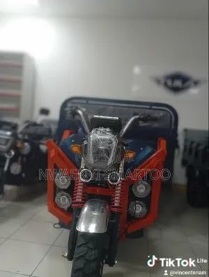 1800w Battery Cargo Tri Cycle