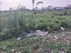 1500sqm Plot Osborn Pase 1 Ikoyi Lagos