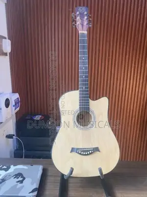 Acoustic Guitar Size 38