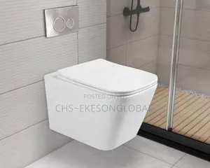 Conceal Wc Toilet  England Standard