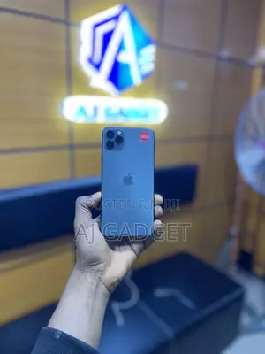 Apple iPhone 11 Pro Max 256 GB Gray