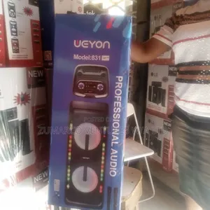 Party Sets ,P a System With Bluetooth, Usb,Two Wireless Mic