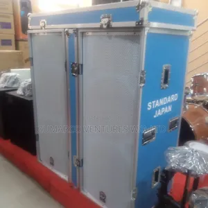 A Pair of Standard Japan Acoustic Speaker