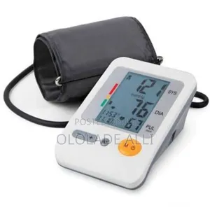 Electronic Blood Pressure Monitor