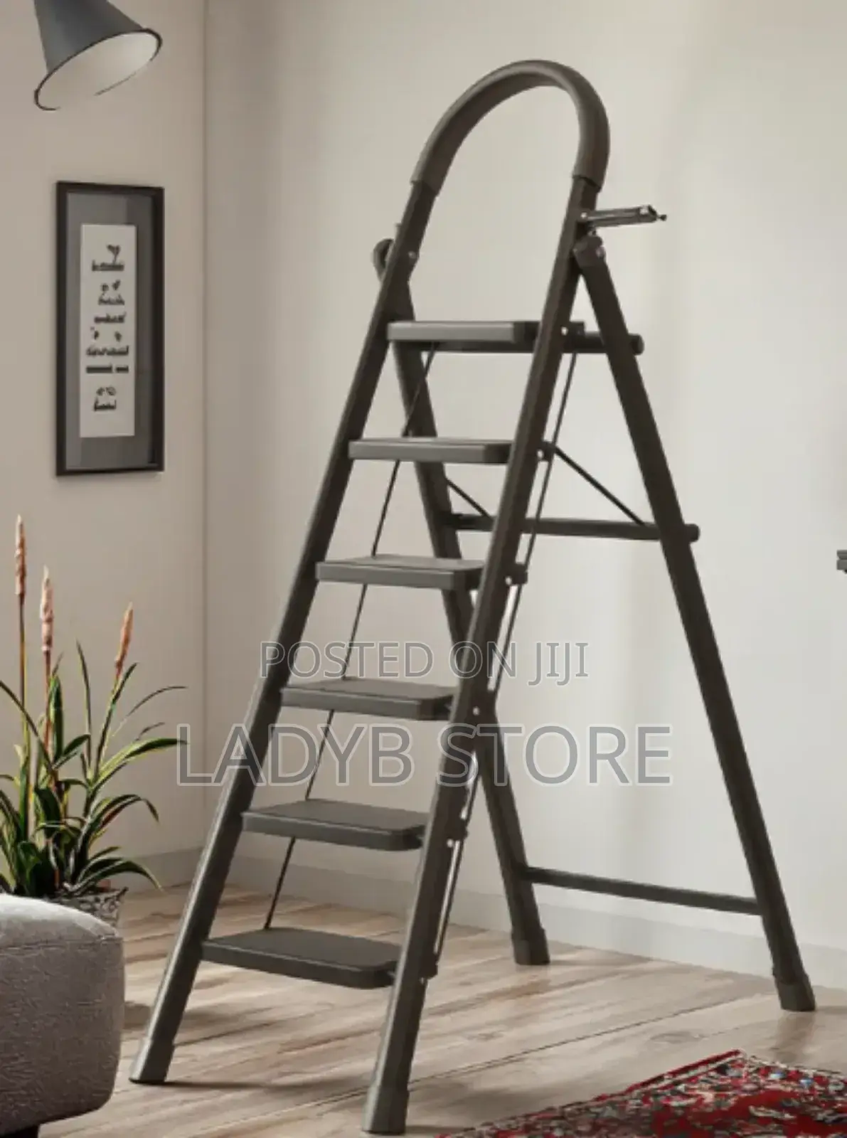 6steps Multiple Use Ladder (Black)