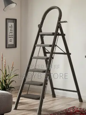6steps Multiple Use Ladder (Black)
