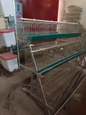 Layer Cage