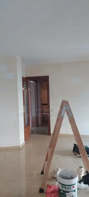 Professional Painter and Wall Paper Fixer