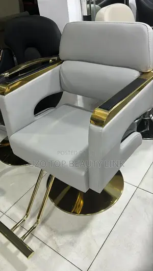 Salon Chair
