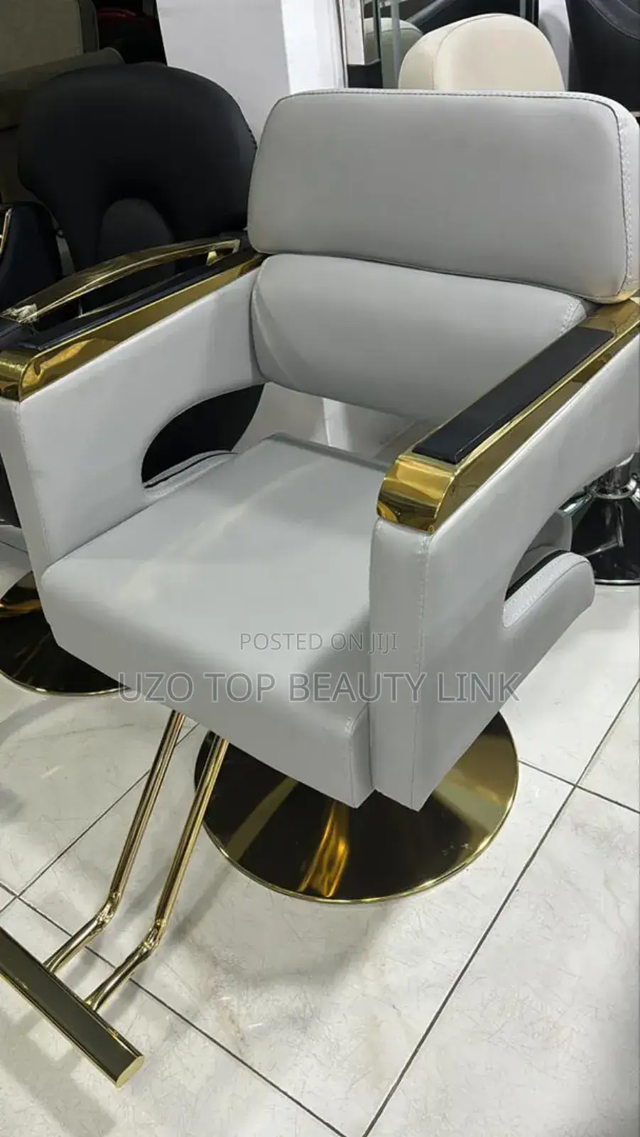 Salon Chair
