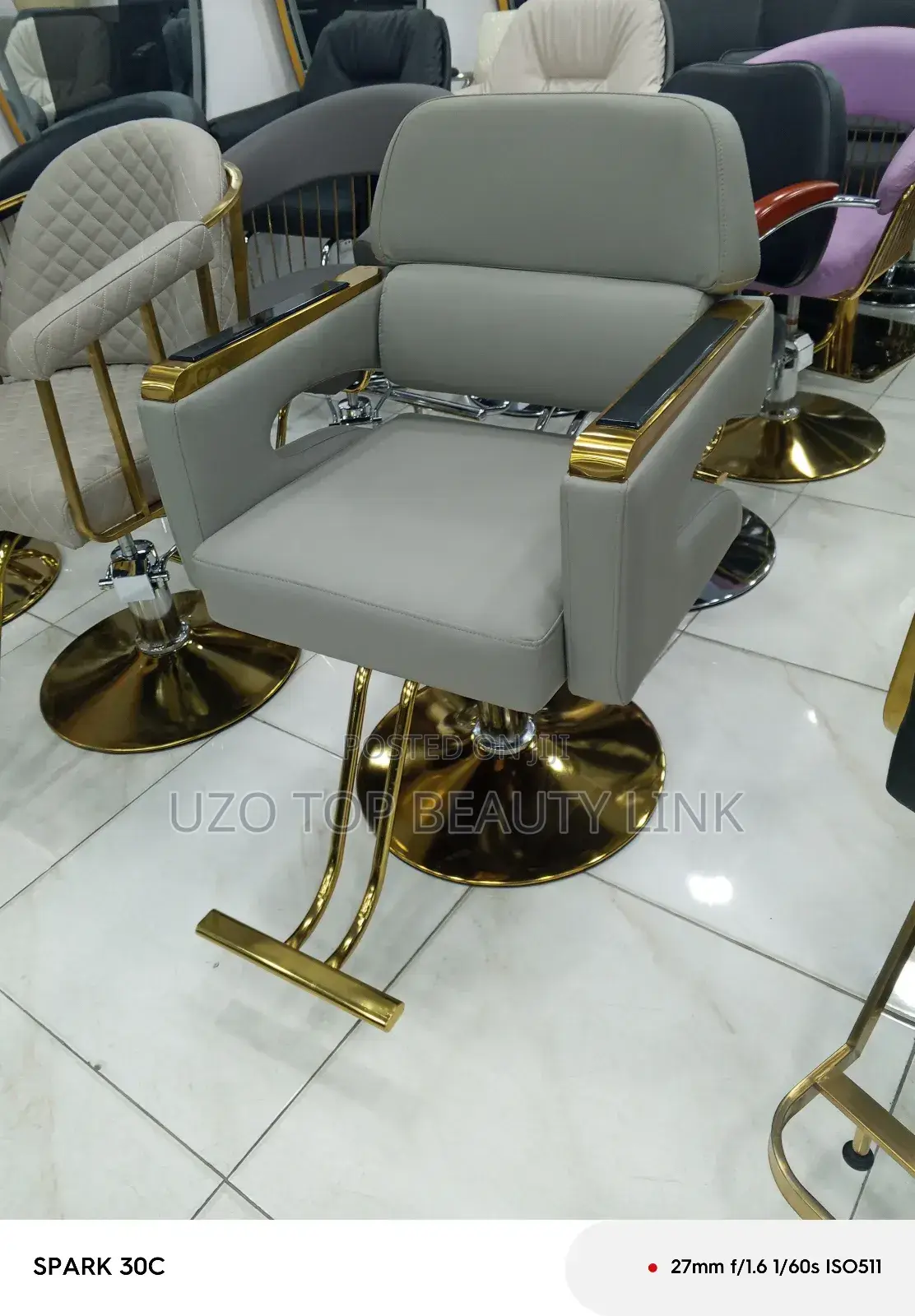 Salon Chair
