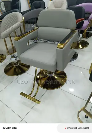 Salon Chair