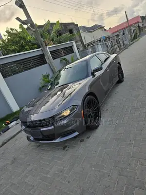 Dodge Charger SXT RWD 2019 Gray